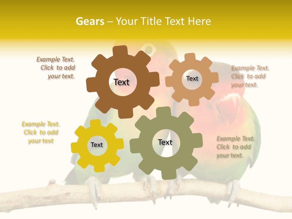 Pair Red Bird PowerPoint Template