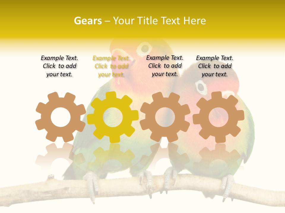 Pair Red Bird PowerPoint Template