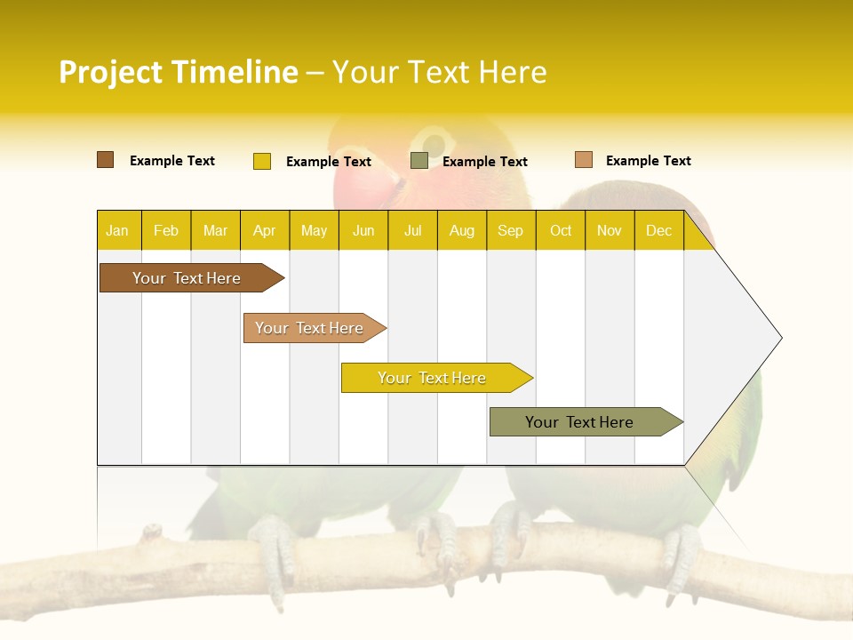 Pair Red Bird PowerPoint Template
