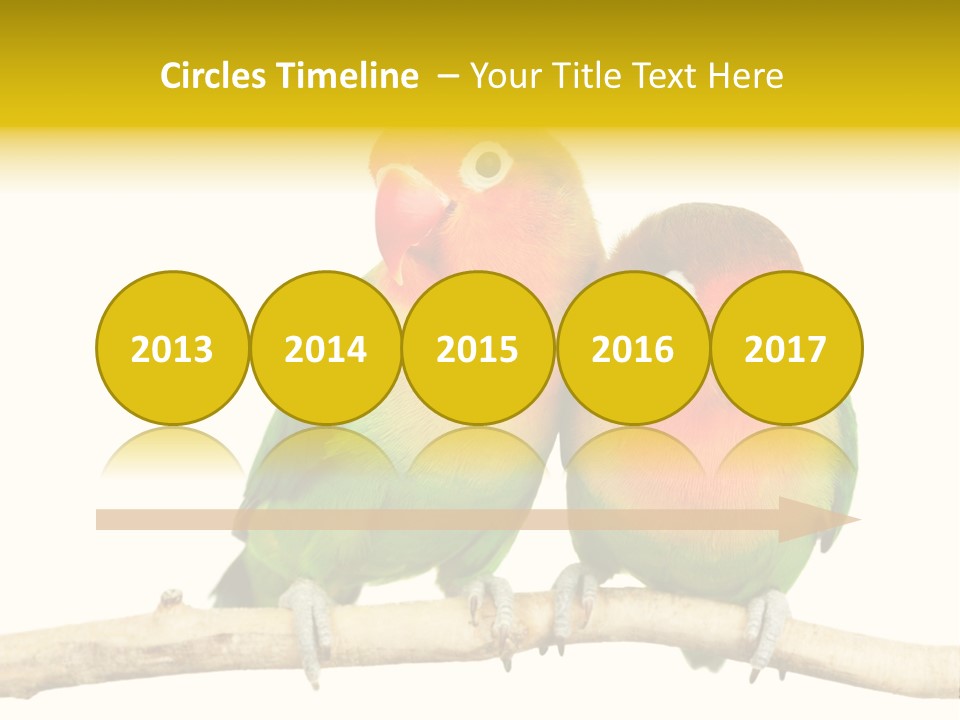 Pair Red Bird PowerPoint Template