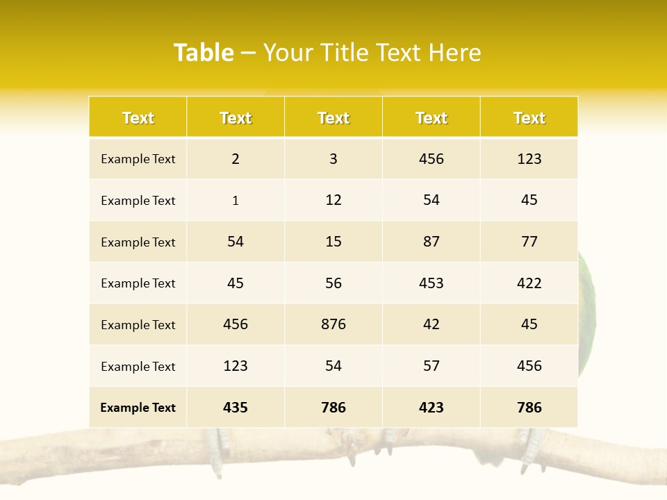 Pair Red Bird PowerPoint Template