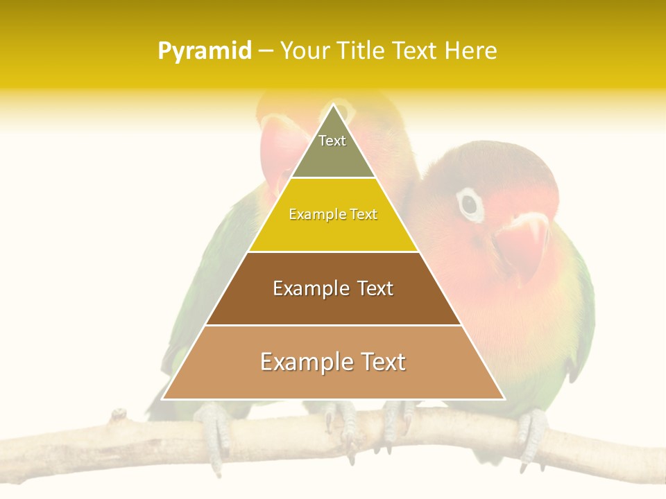 Pair Red Bird PowerPoint Template