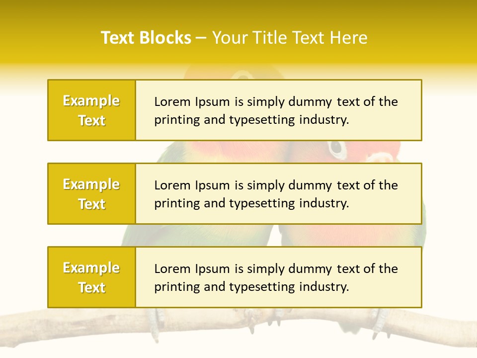 Pair Red Bird PowerPoint Template