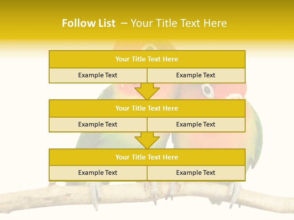 Pair Red Bird PowerPoint Template
