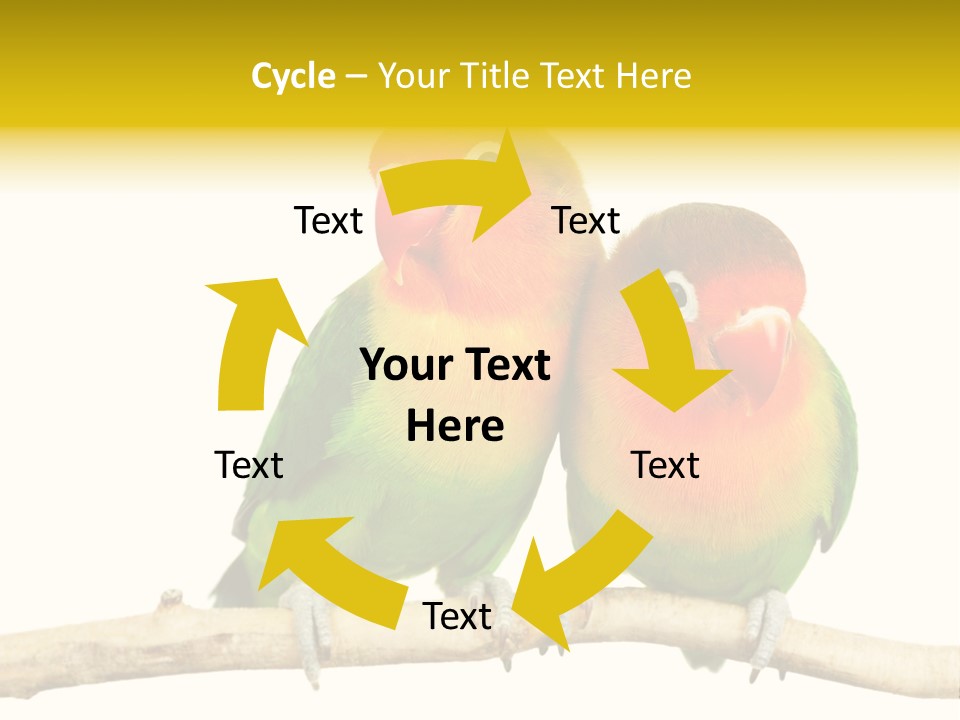 Pair Red Bird PowerPoint Template