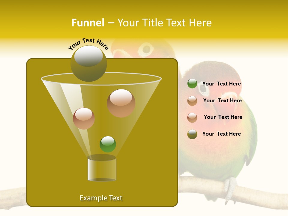 Pair Red Bird PowerPoint Template