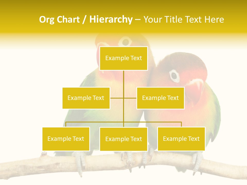Pair Red Bird PowerPoint Template