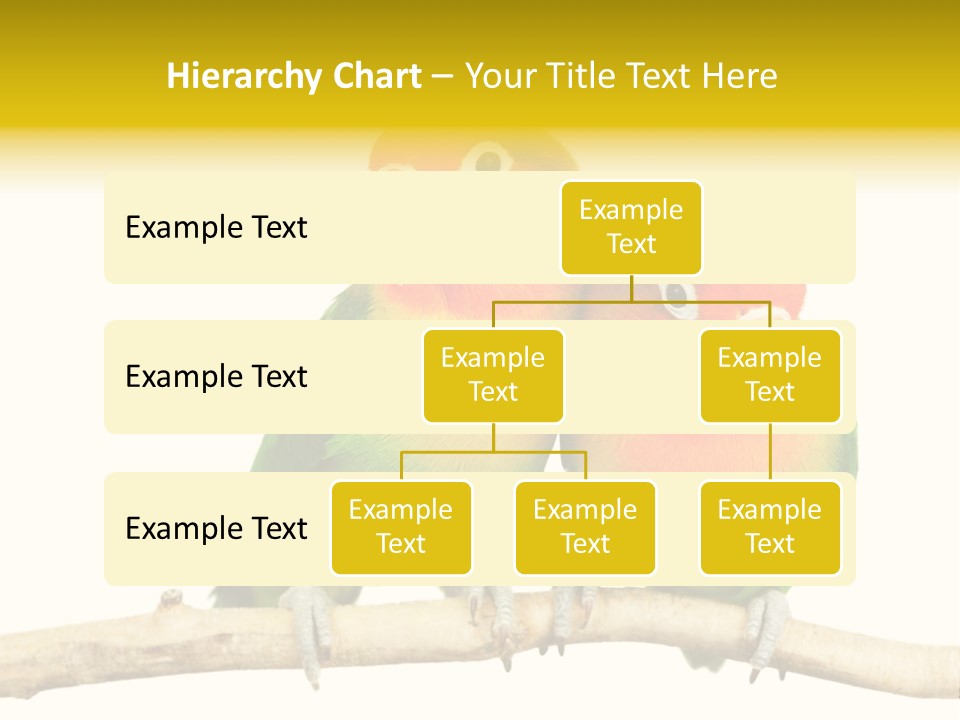 Pair Red Bird PowerPoint Template