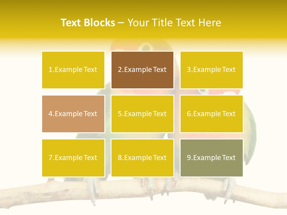 Pair Red Bird PowerPoint Template