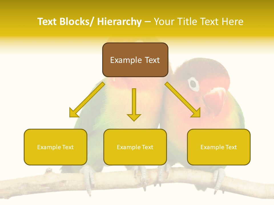 Pair Red Bird PowerPoint Template
