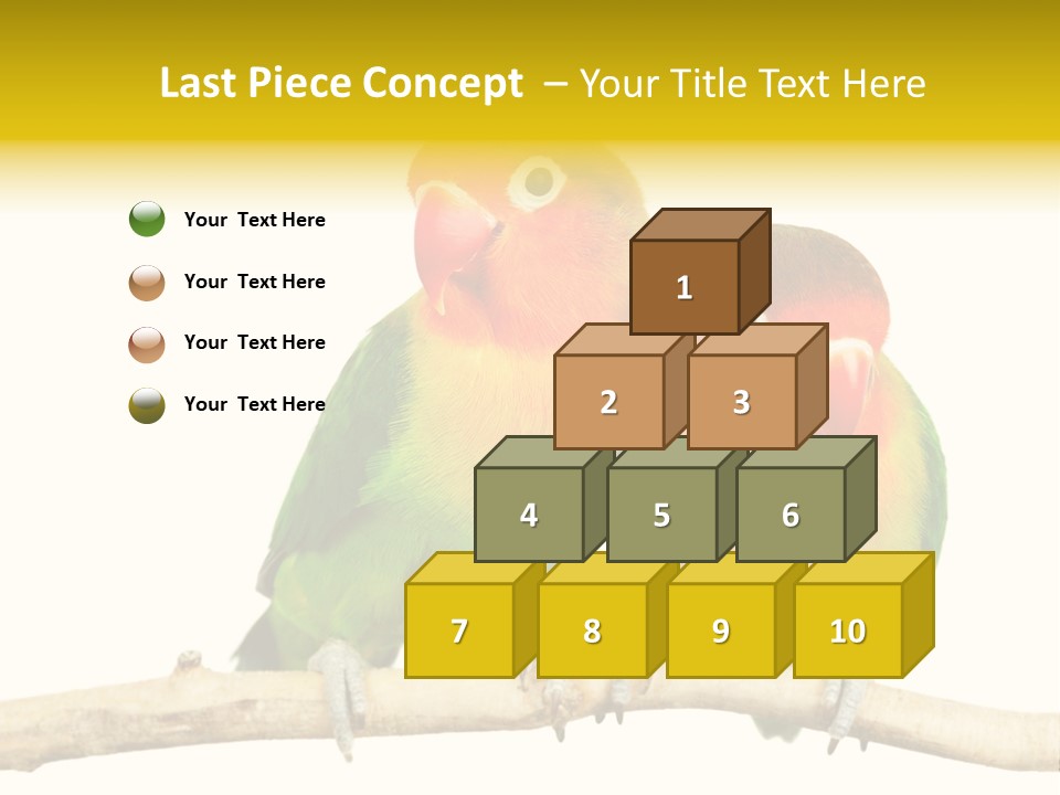 Pair Red Bird PowerPoint Template