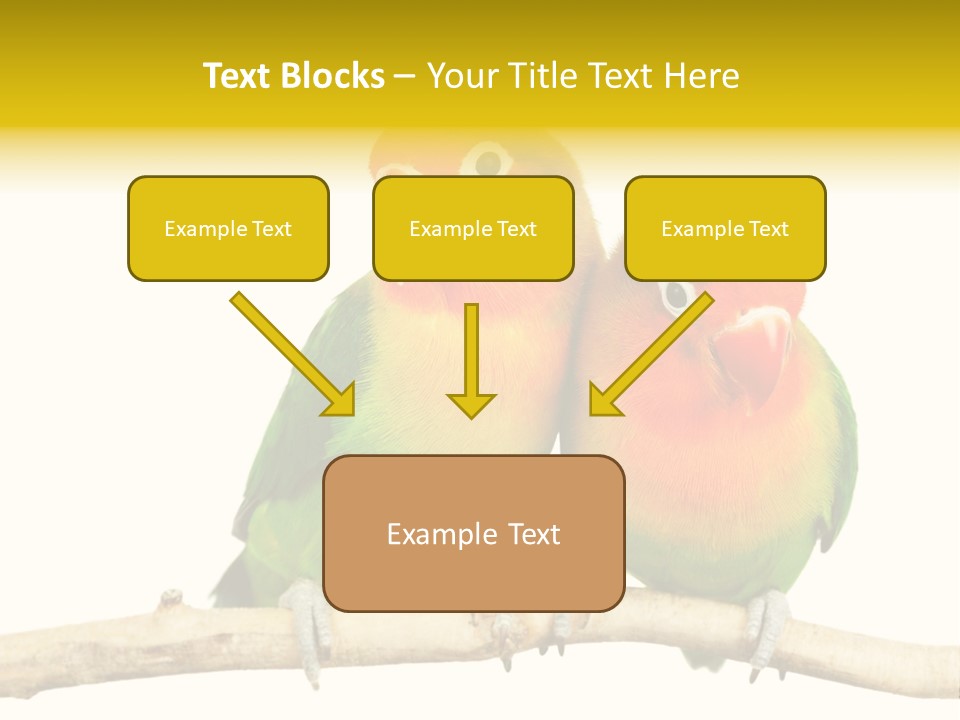 Pair Red Bird PowerPoint Template