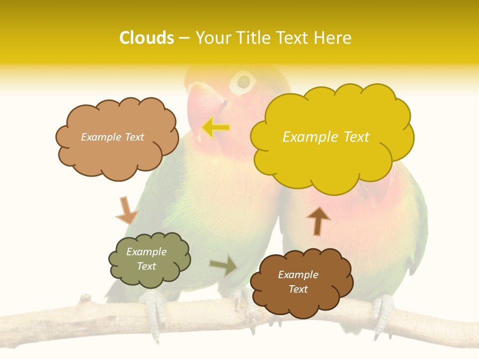 Pair Red Bird PowerPoint Template