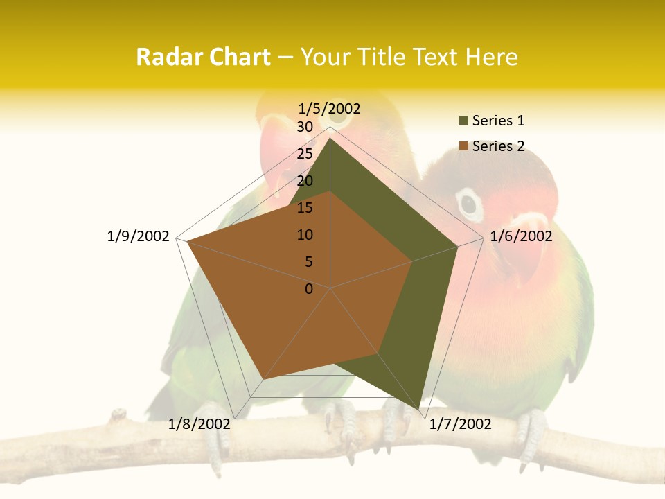 Pair Red Bird PowerPoint Template
