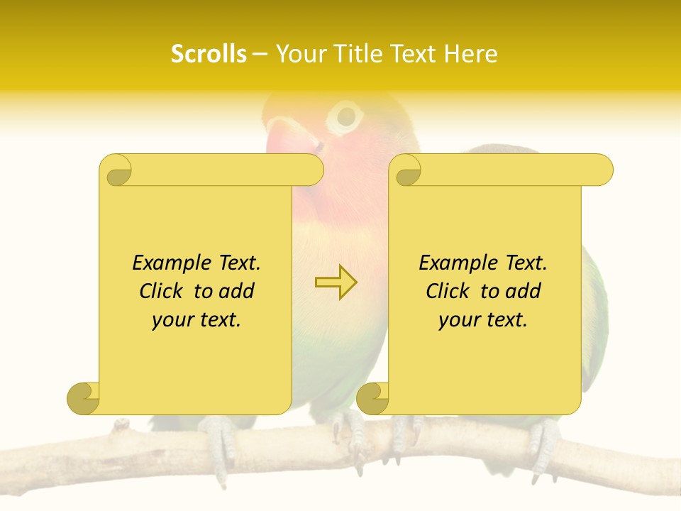 Pair Red Bird PowerPoint Template