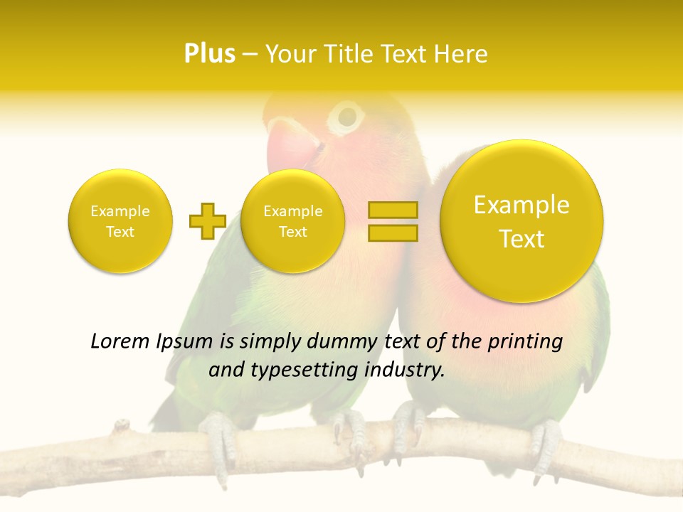 Pair Red Bird PowerPoint Template