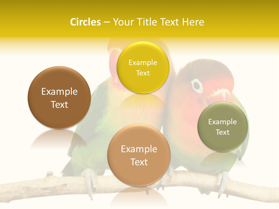 Pair Red Bird PowerPoint Template