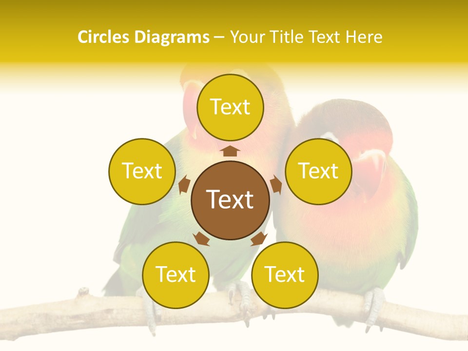 Pair Red Bird PowerPoint Template