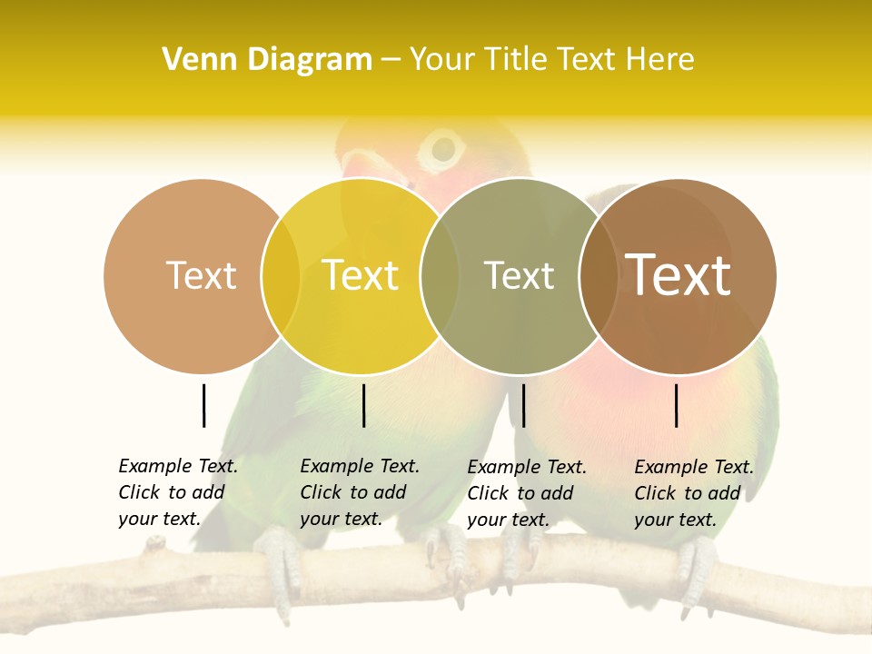 Pair Red Bird PowerPoint Template