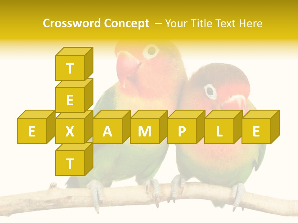 Pair Red Bird PowerPoint Template