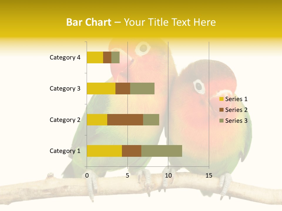 Pair Red Bird PowerPoint Template