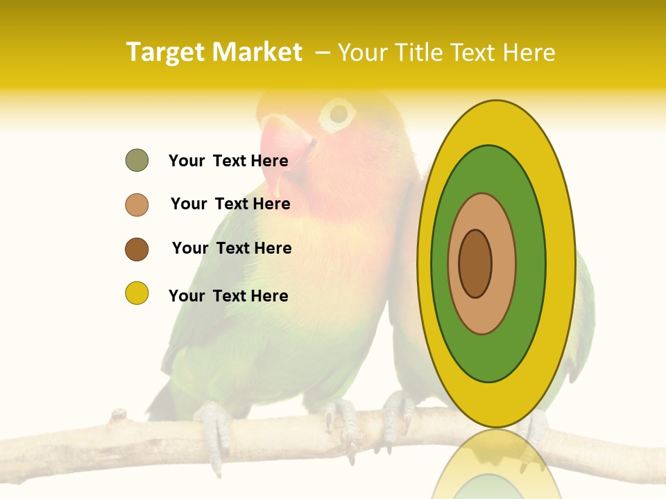 Pair Red Bird PowerPoint Template