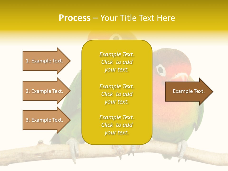 Pair Red Bird PowerPoint Template