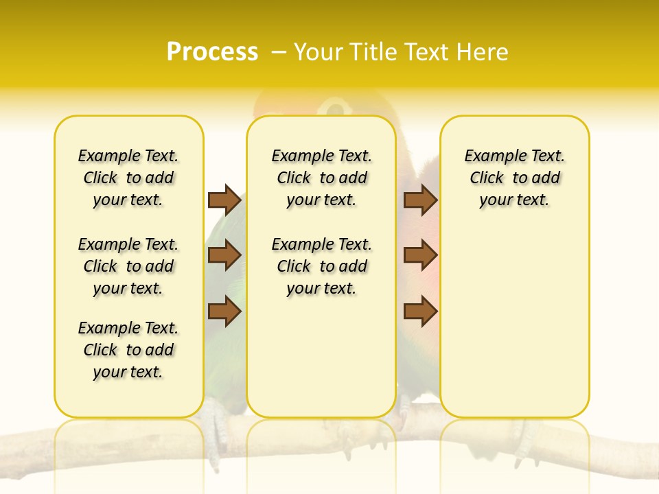 Pair Red Bird PowerPoint Template