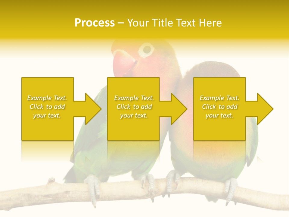 Pair Red Bird PowerPoint Template