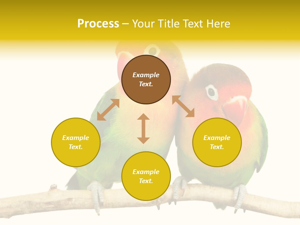 Pair Red Bird PowerPoint Template