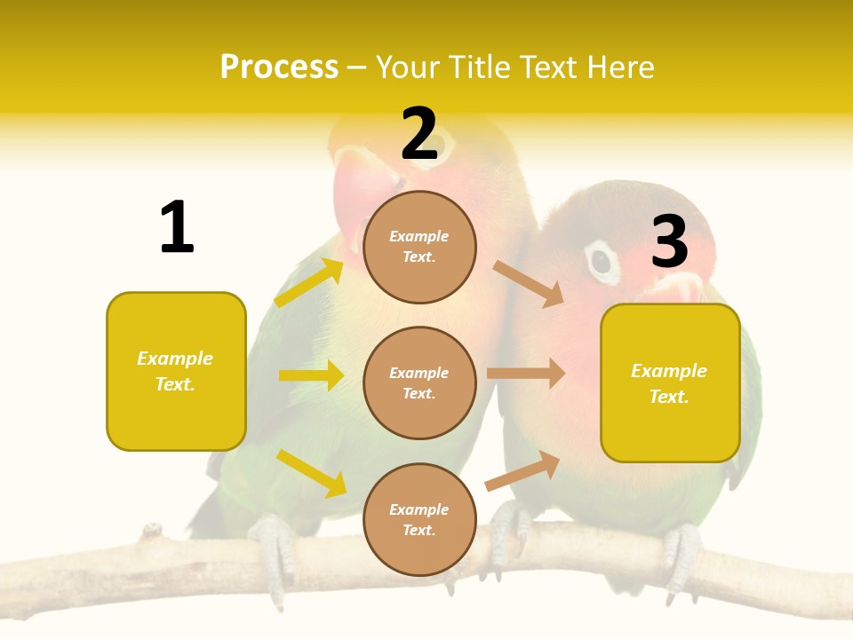Pair Red Bird PowerPoint Template