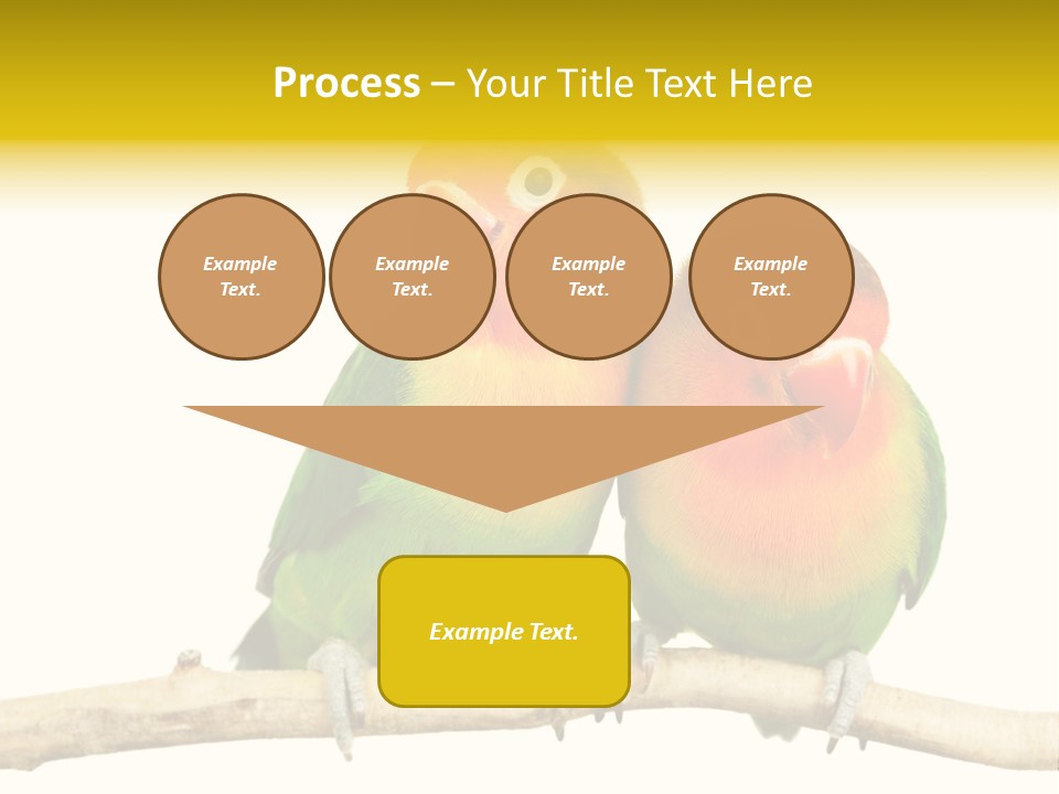 Pair Red Bird PowerPoint Template