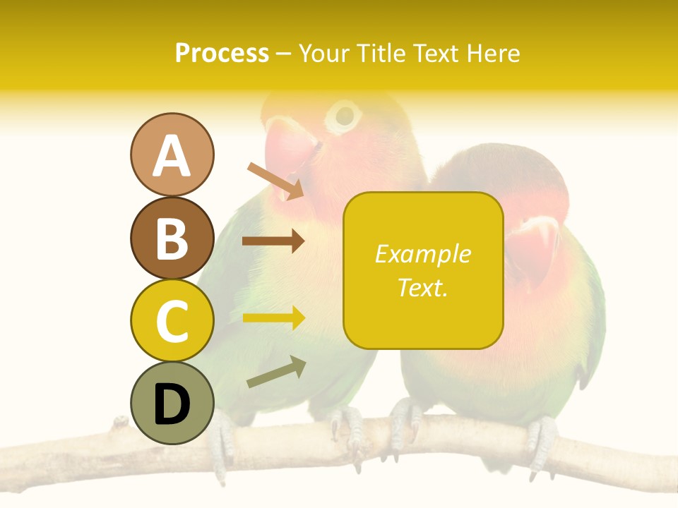 Pair Red Bird PowerPoint Template