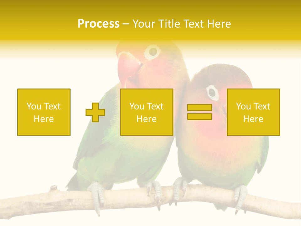 Pair Red Bird PowerPoint Template