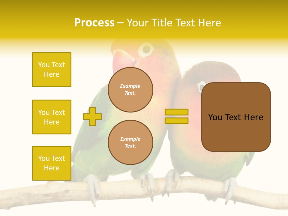 Pair Red Bird PowerPoint Template