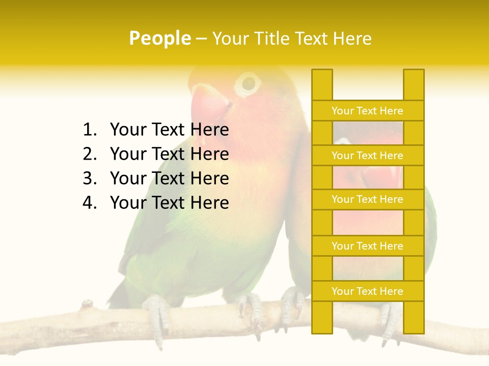 Pair Red Bird PowerPoint Template