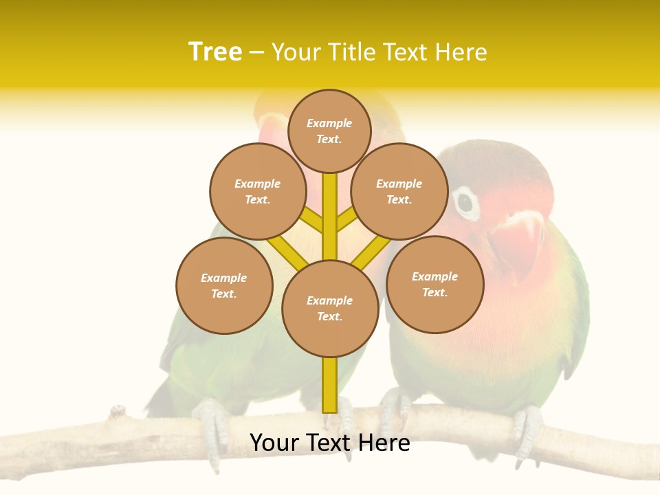 Pair Red Bird PowerPoint Template