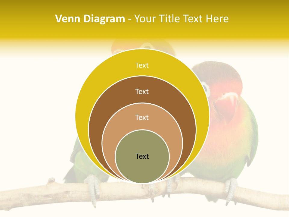 Pair Red Bird PowerPoint Template