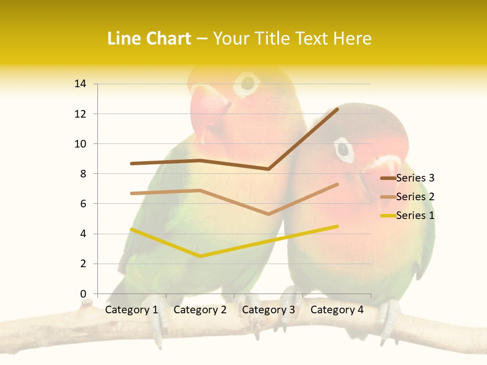 Pair Red Bird PowerPoint Template