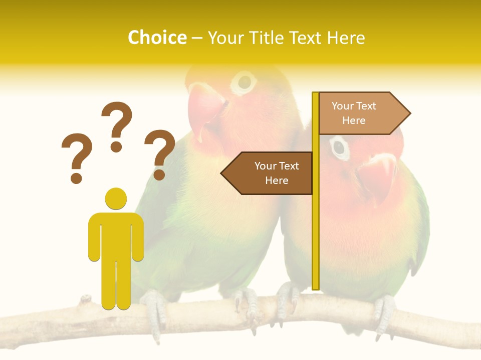 Pair Red Bird PowerPoint Template