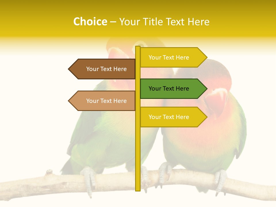 Pair Red Bird PowerPoint Template