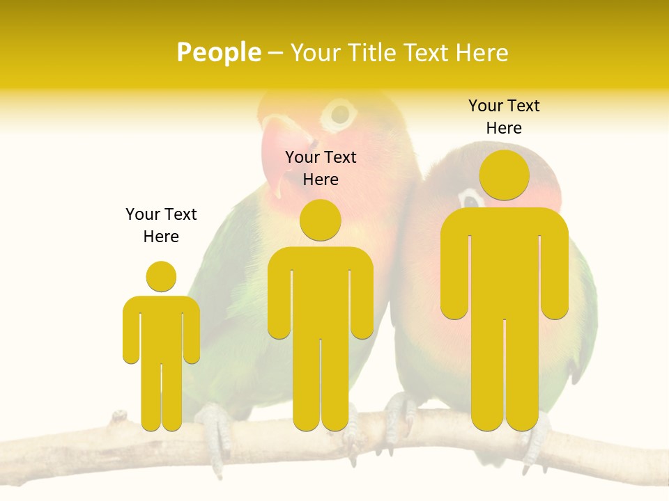 Pair Red Bird PowerPoint Template