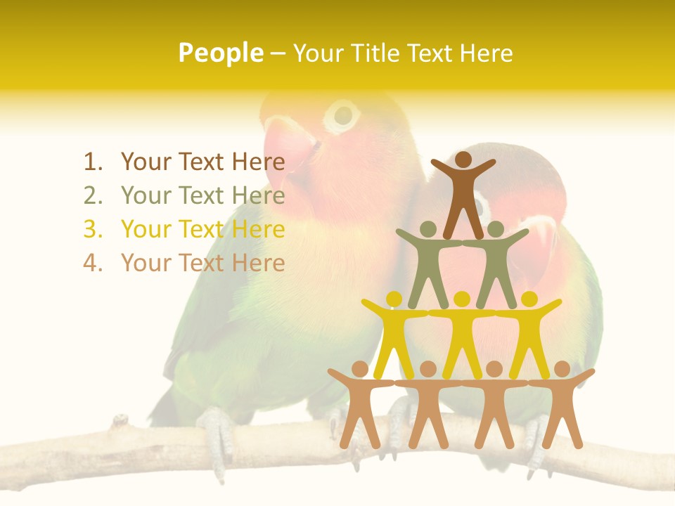 Pair Red Bird PowerPoint Template