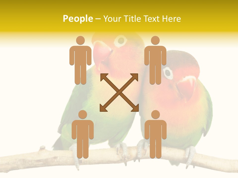 Pair Red Bird PowerPoint Template