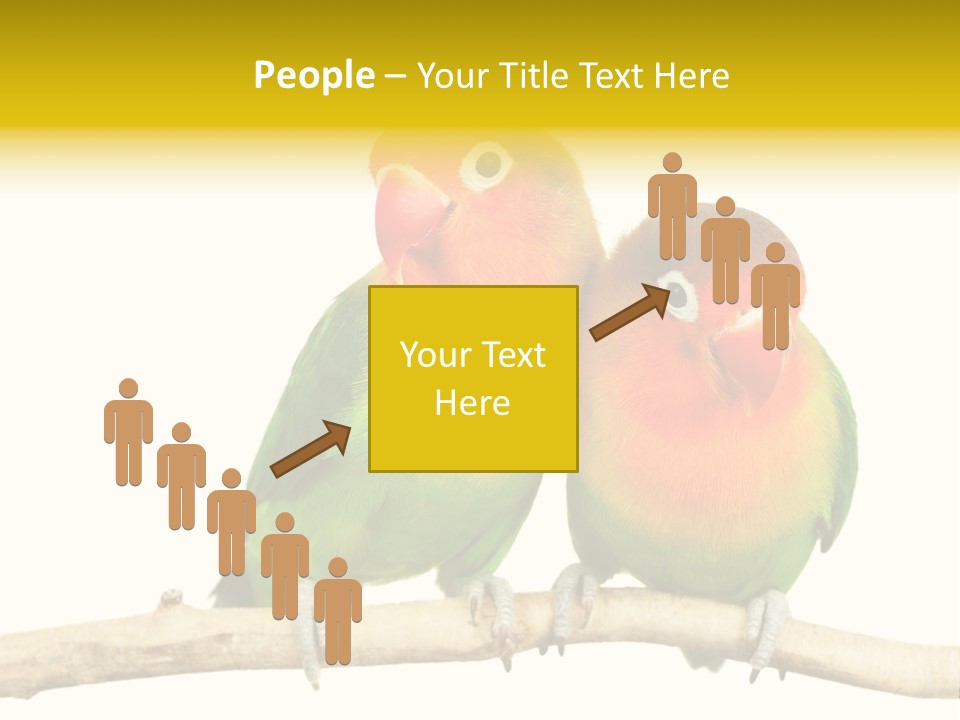 Pair Red Bird PowerPoint Template