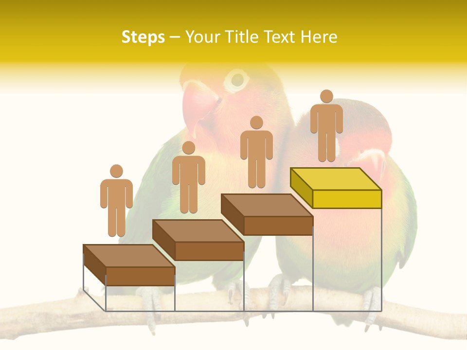 Pair Red Bird PowerPoint Template