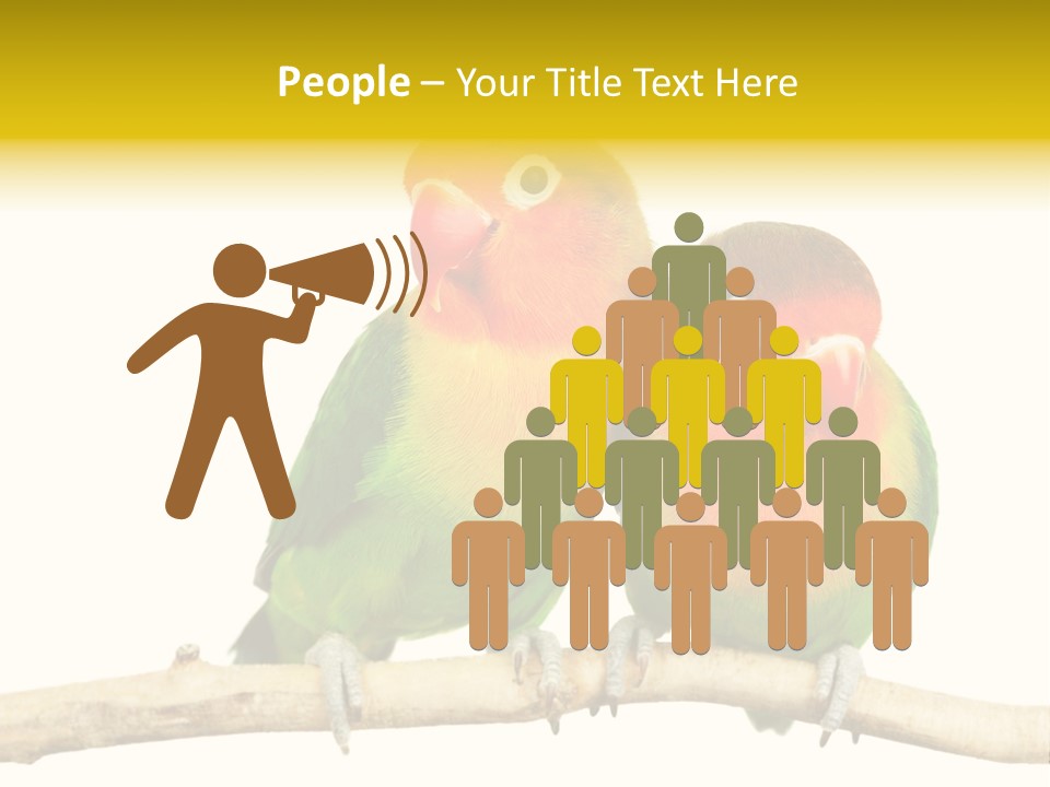 Pair Red Bird PowerPoint Template