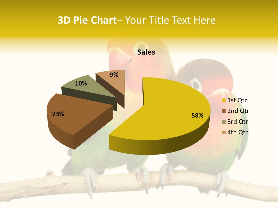 Pair Red Bird PowerPoint Template