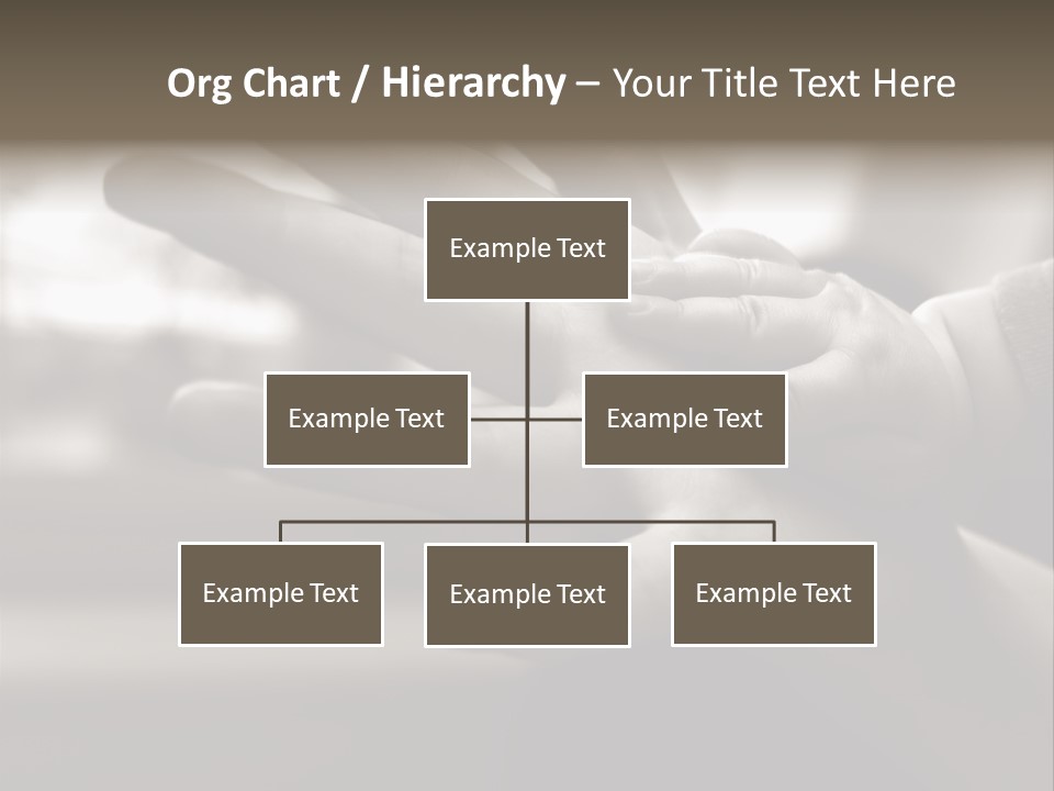 A Person Holding A Baby In Their Hands PowerPoint Template