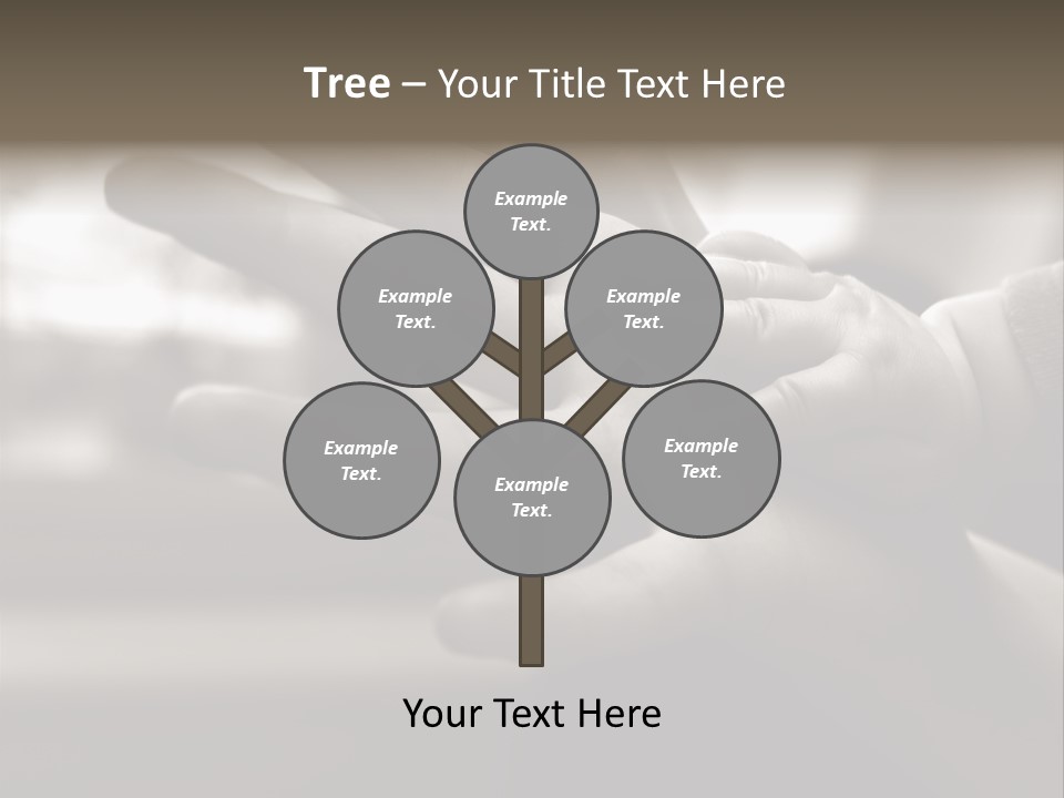 A Person Holding A Baby In Their Hands PowerPoint Template